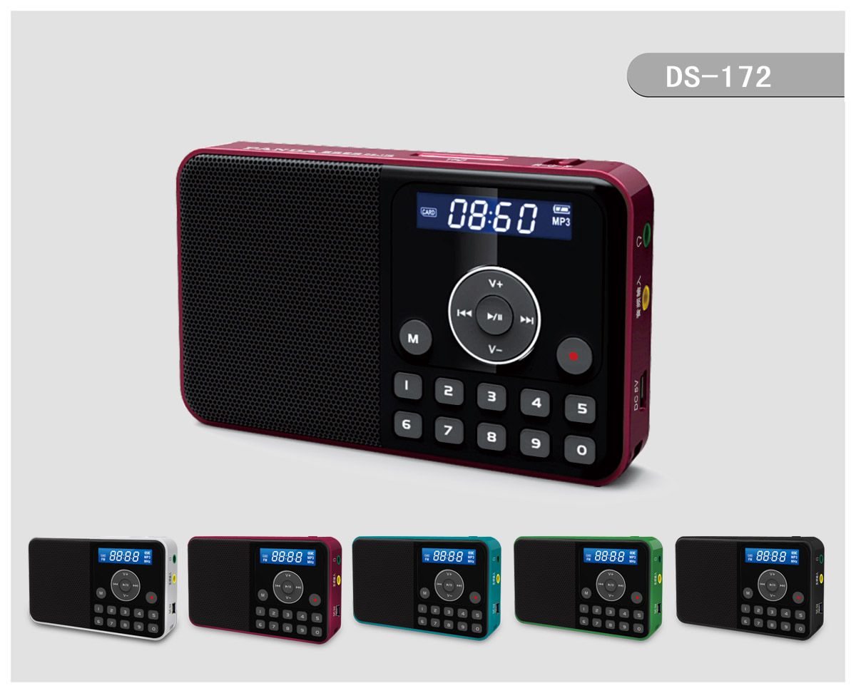 DS-172 MIni Speaker & LCD / FM Radio FM stereo radio